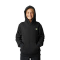 Sweat à capuche Fox Racing Youth Morphic (Liquidation)