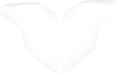 Icon Ultraflite Side Plates