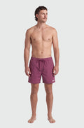 Short de bain classique TEAMLTD