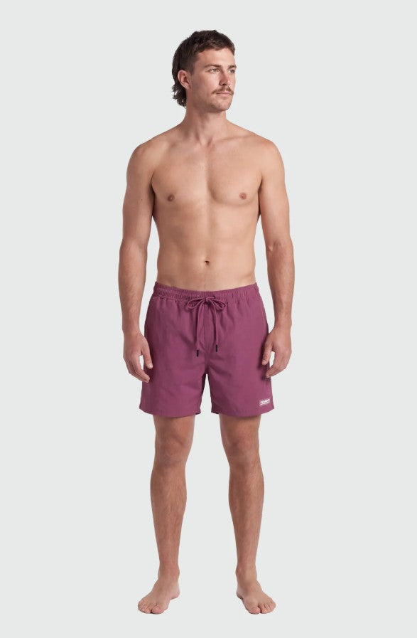 Short de bain classique TEAMLTD