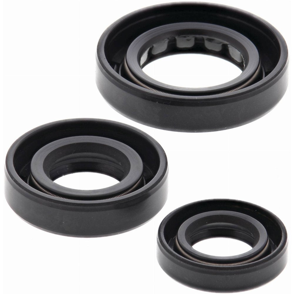 Vertex Engine Oil Seal Kit