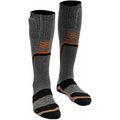 Chaussettes chauffantes Mobile Warming Premium 2.0 (Gris)