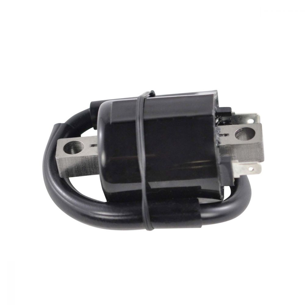 RM Stator Ignition Coil