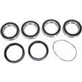 Pivot Works Wheel Bearing Kit