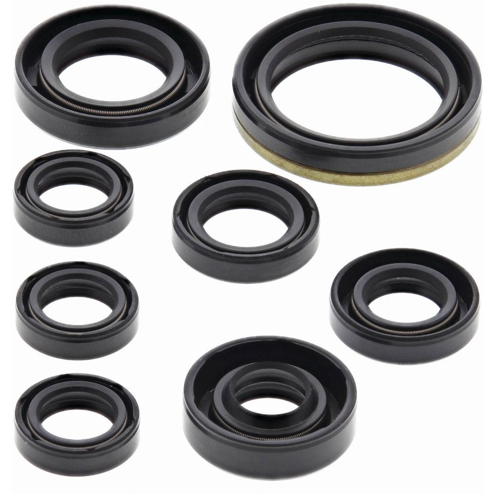 Vertex Engine Oil Seal Kit
