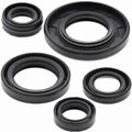 Vertex Engine Oil Seal Kit