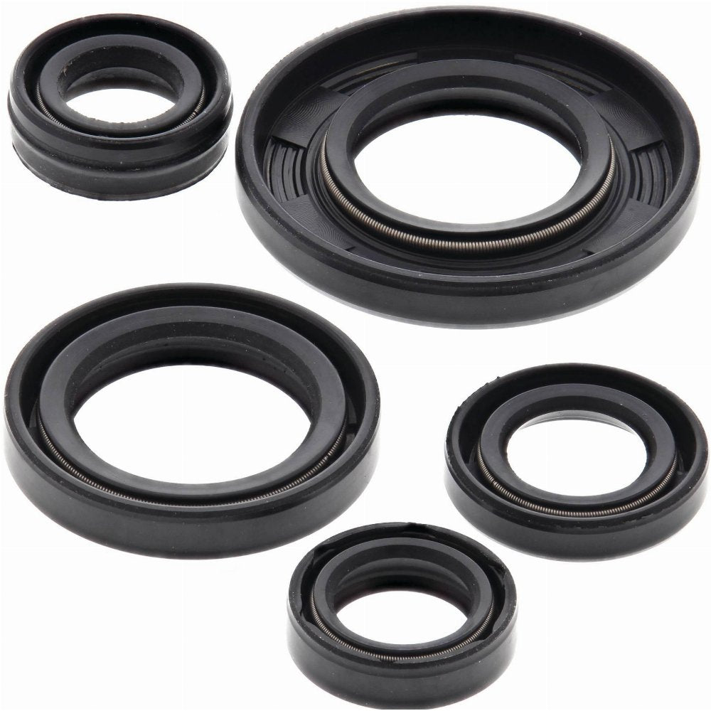 Vertex Engine Oil Seal Kit