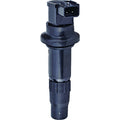 Arrowhead Ignition Coil