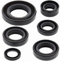 Vertex Engine Oil Seal Kit