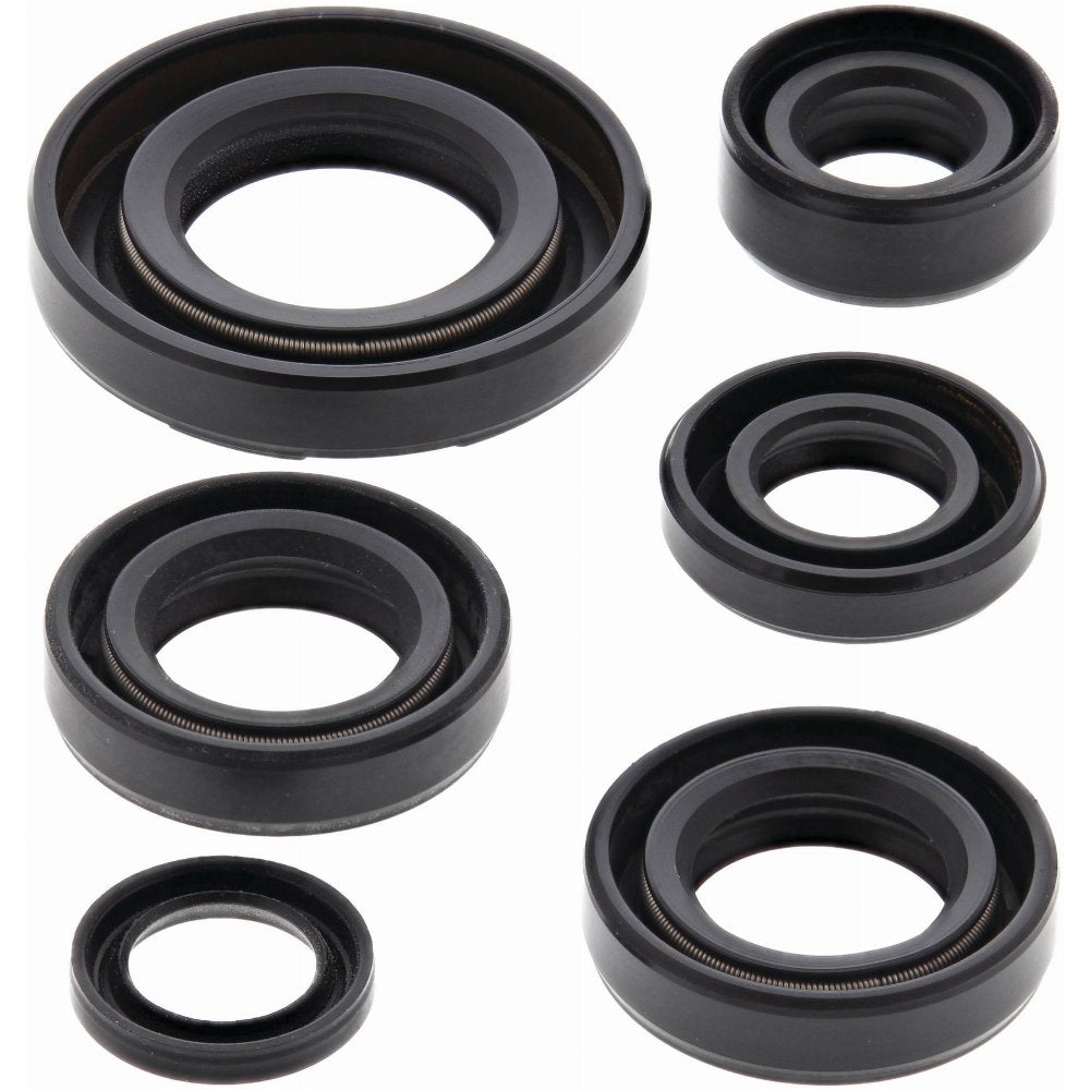 Vertex Engine Oil Seal Kit