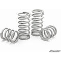 Ressorts d'amortisseur UTV SuperATV