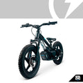 Stacyc Youth Brushless 36V 16eDrive Bike