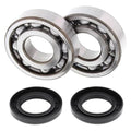 Moose Crankshaft Bearing and Seal Kit