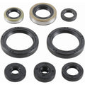 Vertex Engine Oil Seal Kit