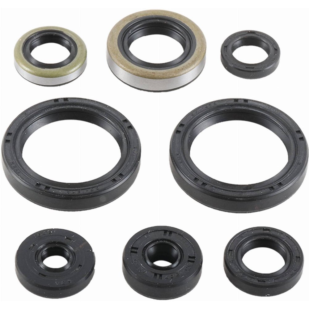 Vertex Engine Oil Seal Kit