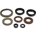 Vertex Engine Oil Seal Kit