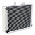 Radiateur VTT/UTV toxique