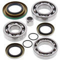 All Balls Differential Bearing And Seal Kit