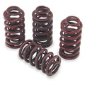 Andrews .550in. Lift Valve Springs
