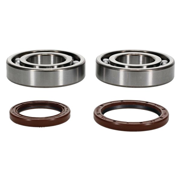 Moose Crankshaft Bearing and Seal Kit