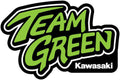 D'COR Visuals Team Green Decal