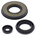 Vertex Engine Oil Seal Kit