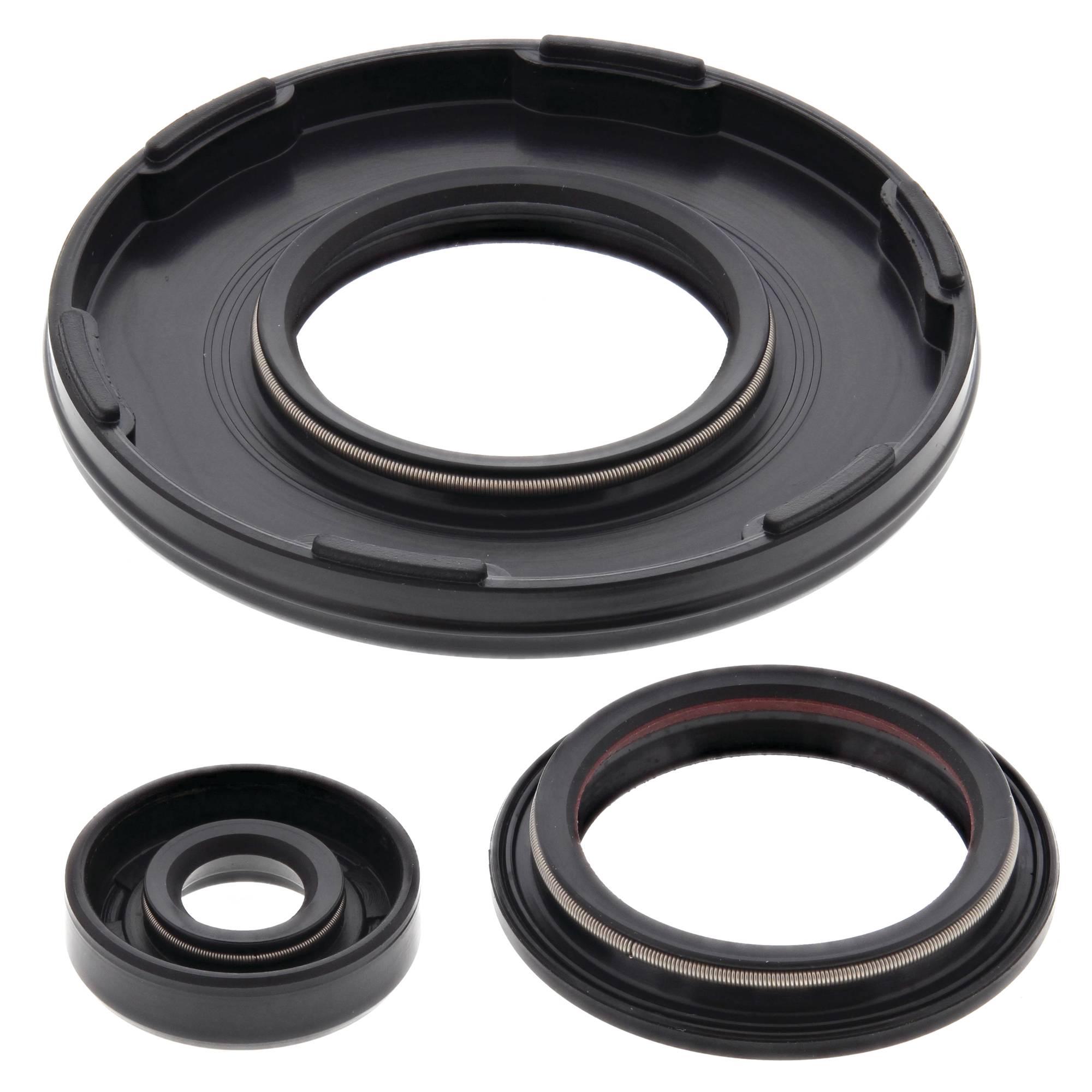 Vertex Engine Oil Seal Kit