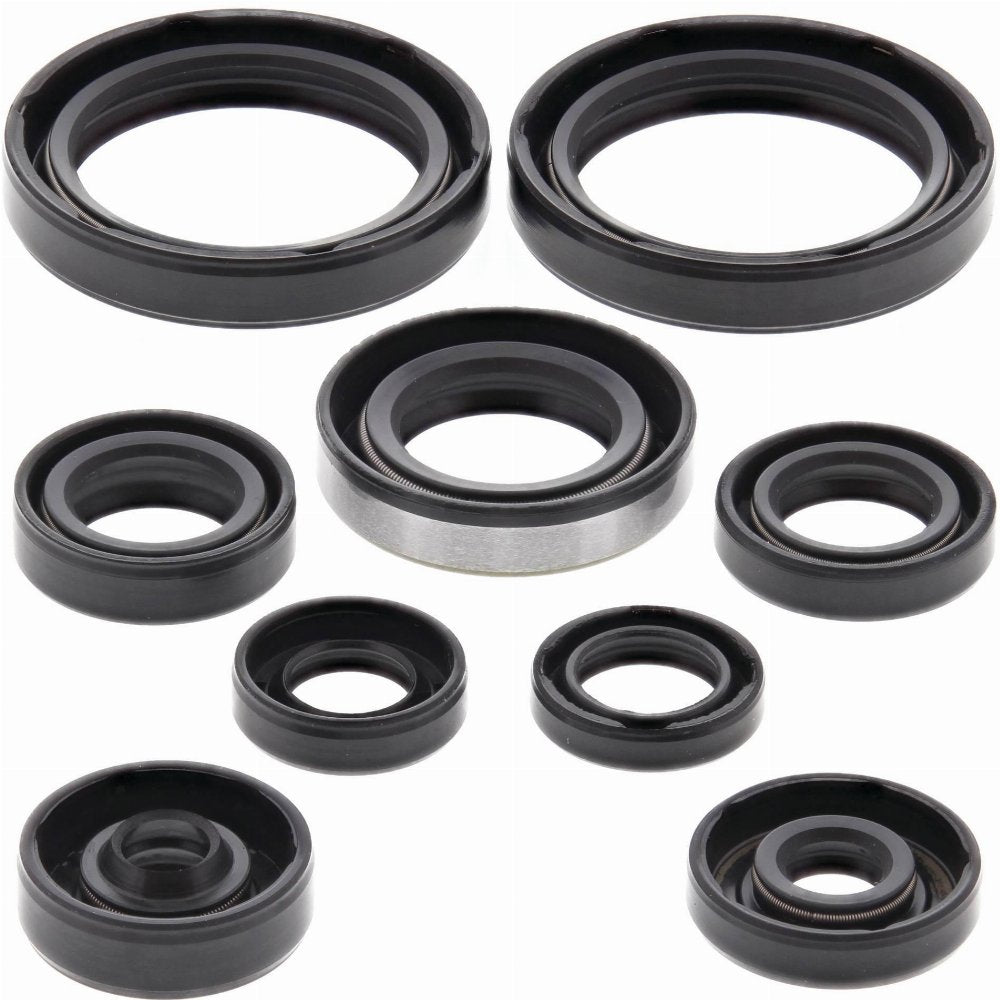 Vertex Engine Oil Seal Kit
