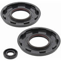 Vertex Engine Oil Seal Kit