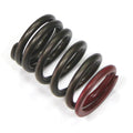 Psychic Valve Spring