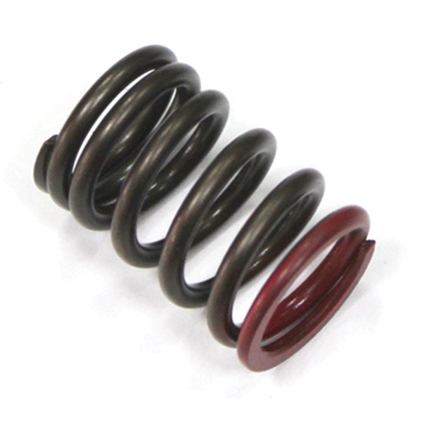 Psychic Valve Spring