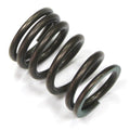 Psychic Valve Spring