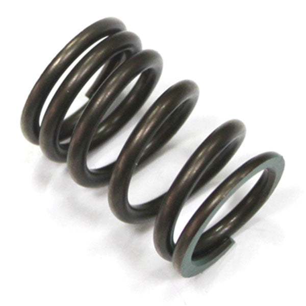 Psychic Valve Spring