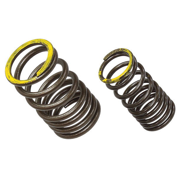 Namura Valve Springs