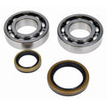 Moose Crankshaft Bearing and Seal Kit