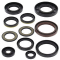 Vertex Engine Oil Seal Kit
