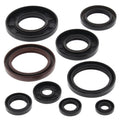 Vertex Engine Oil Seal Kit