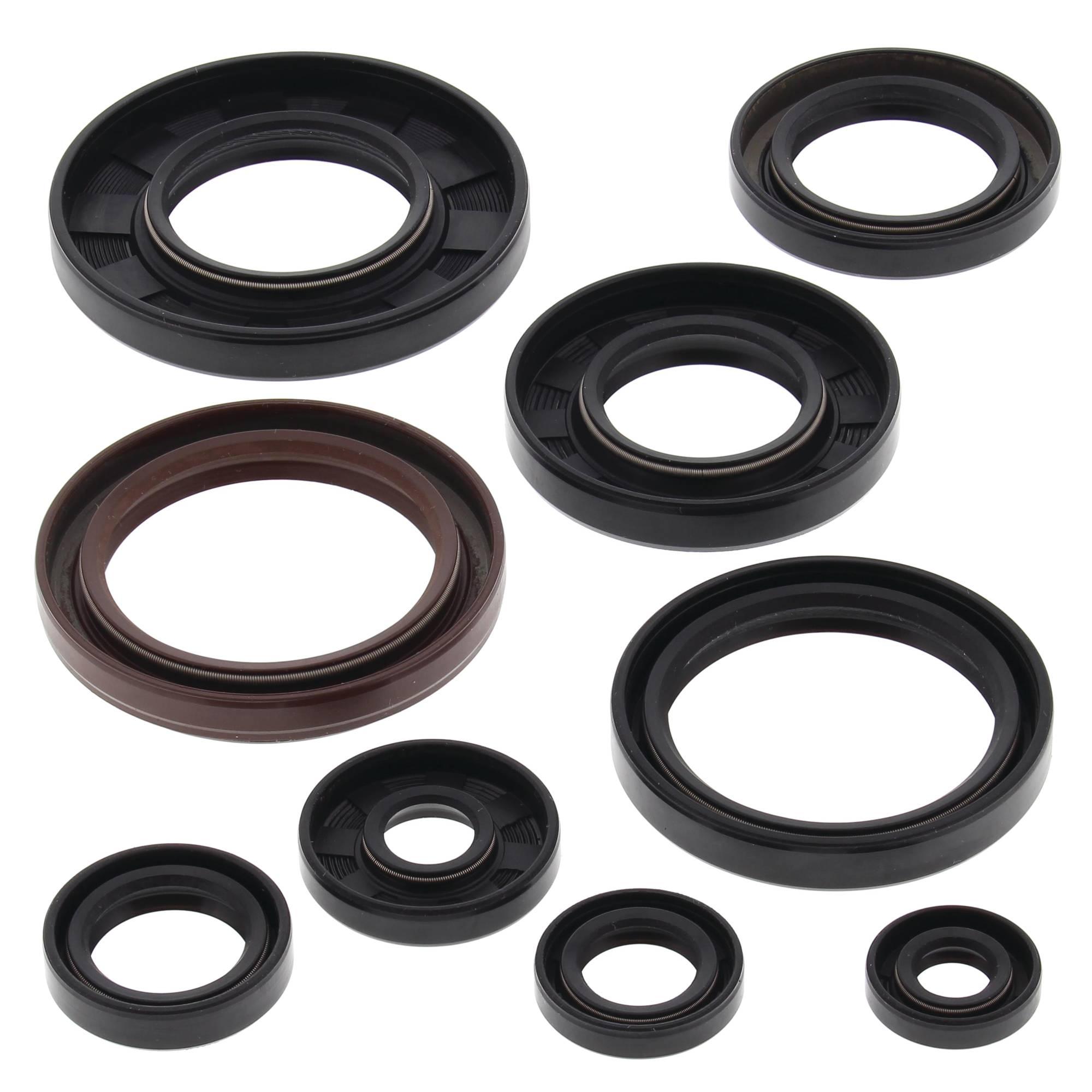 Vertex Engine Oil Seal Kit