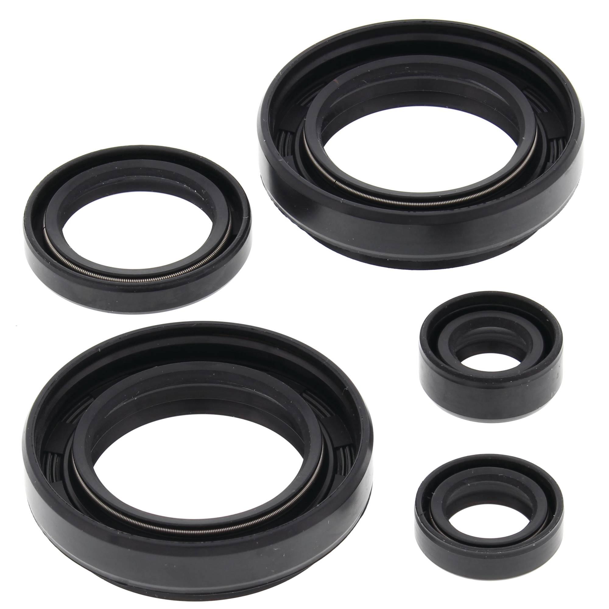 Vertex Engine Oil Seal Kit