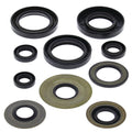 Vertex Engine Oil Seal Kit