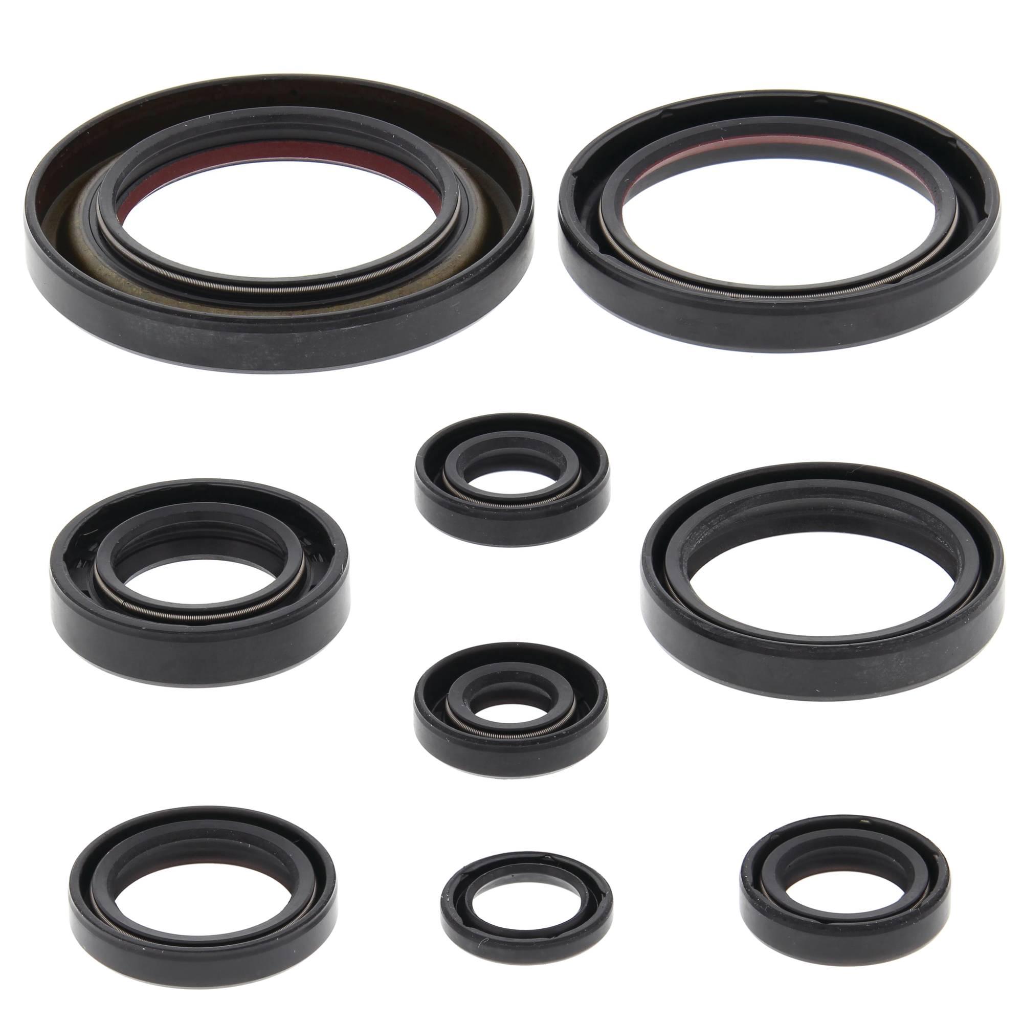 Vertex Engine Oil Seal Kit