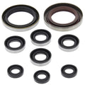 Vertex Engine Oil Seal Kit