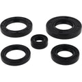 Vertex Engine Oil Seal Kit