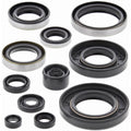 Vertex Engine Oil Seal Kit