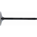 Hot Cams Intake Valve