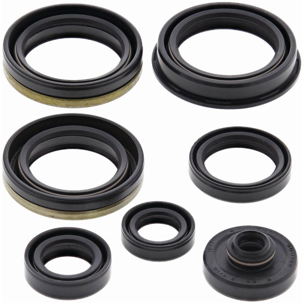 Vertex Engine Oil Seal Kit