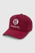 TEAMLTD Logo Curved Brim Snapback