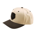 Troy Lee Designs Imprint Curver Snapback Hat