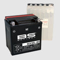 BS Battery MF Battery
