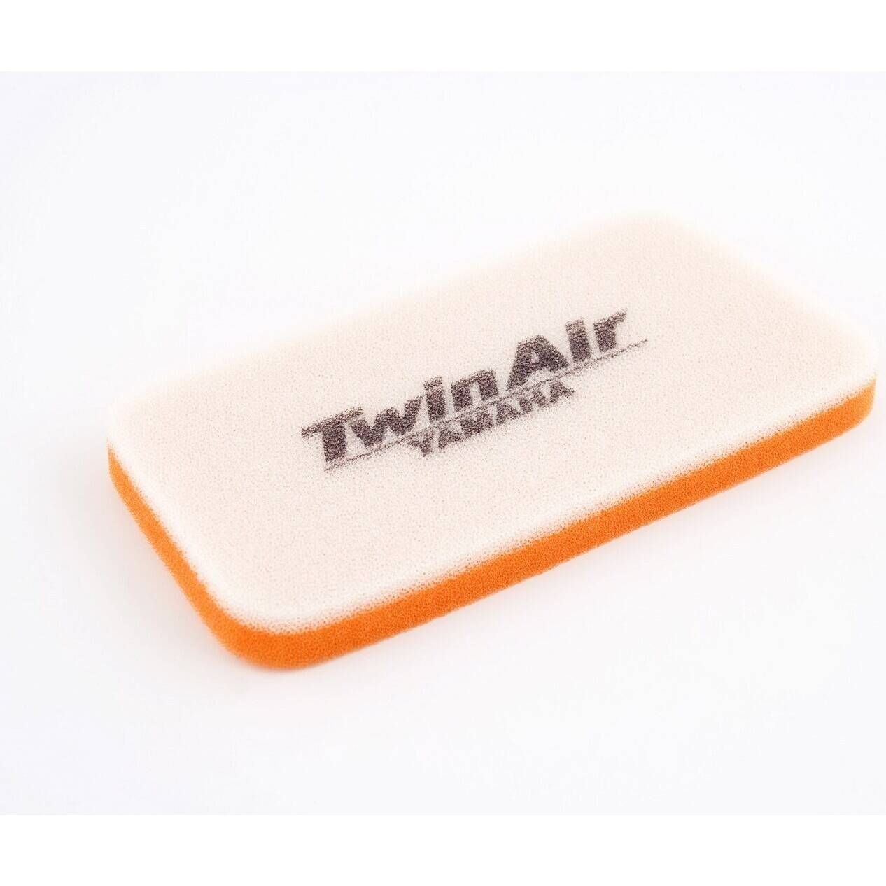 Twin Air Air Filter